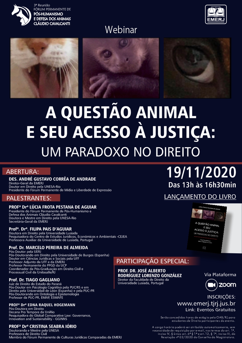 A Questão Animal e seu Acesso à Justiça – Um Paradoxo no Direito